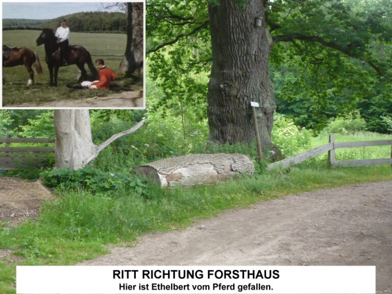 drehort_13